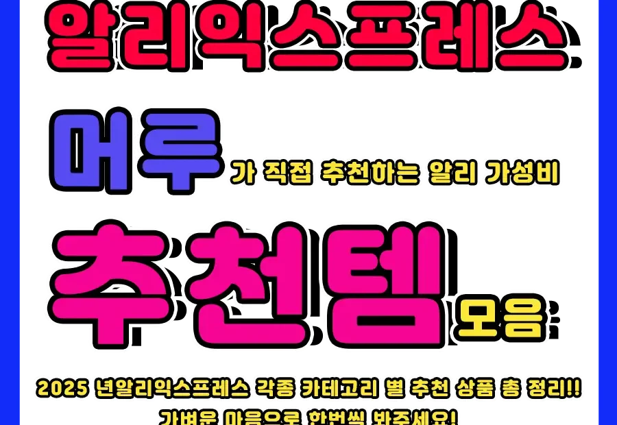 2025알리익스프레스 추천템 모음